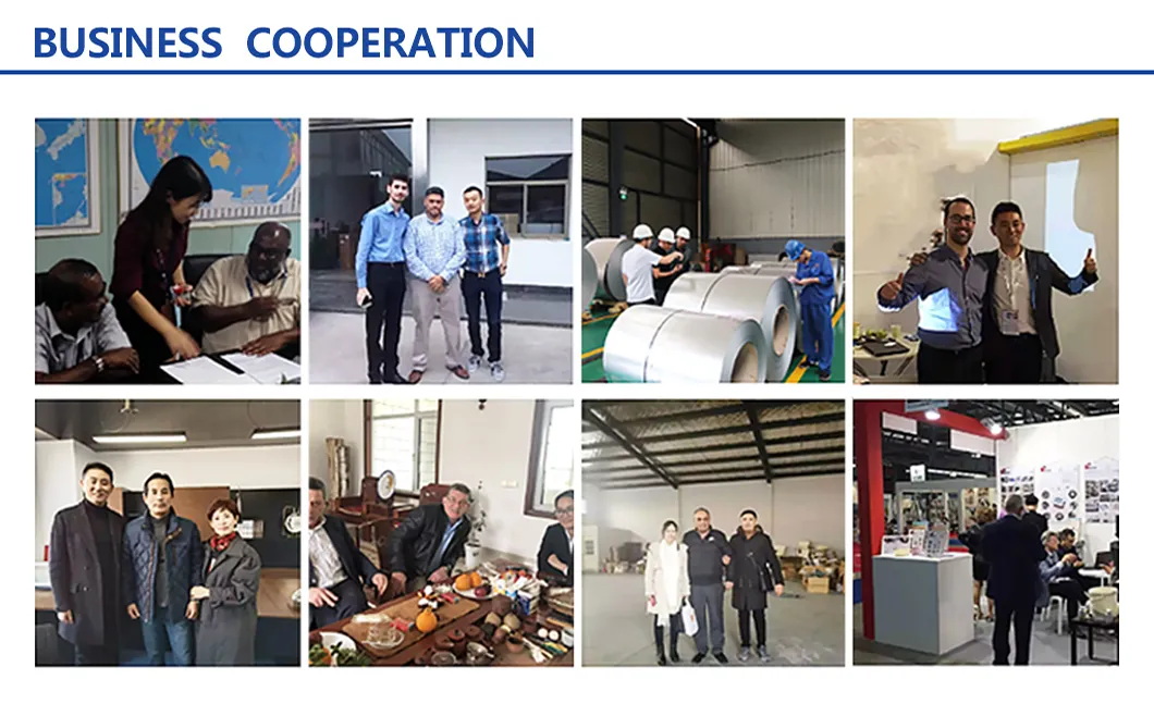 0.23mm Thickness PPGI Iron Coil Pre Painted Galvanized Steel Coil