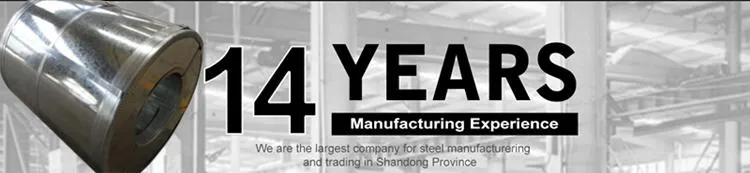 0.25 mm Thickness 1250 mm Width Gi Steel Coil