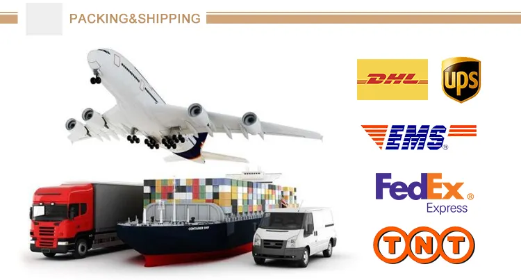 0.3mm-120mm Stainless Steel Coil (201 202 2205 304 316 321 317 430 409 436)