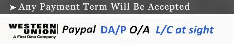 ASTM A335 Series Hot Rolled Seamless Alloy Steel Pipe