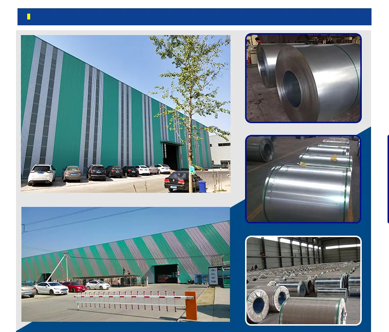 China Galvanized Steel Coil 30-275G/M2 Hot Dipped Zinc Coating