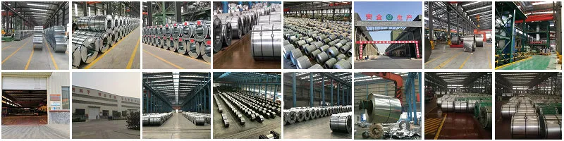 China Hot Selling Best Price Prime Steel Coil PPGI