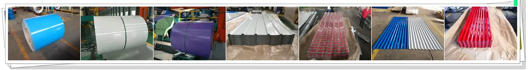 China Hot Selling Best Price Prime Steel Coil PPGI