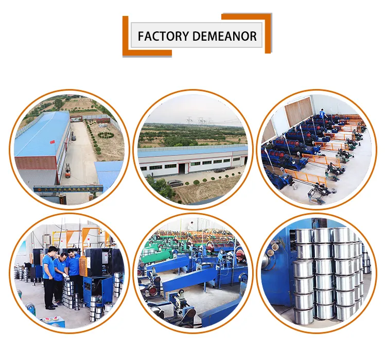 Chinese Manufacturer Stainless Steel Wire Cable PVC Coated Steel Rope