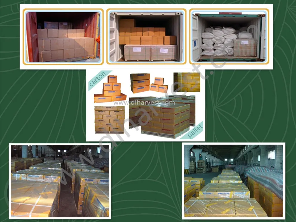 Cold Drawn Wire Shotcrete Steel Fiber for Concrete Building Elements