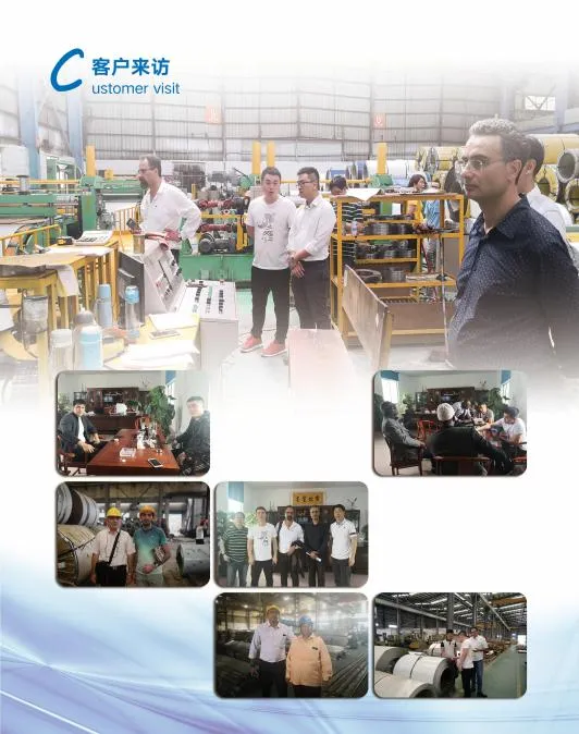 Cold Rolled AISI SUS 201 304 316L 310S 409L 420 420j1 420j2 430 431 434 436L 439 Stainless Steel Coil with Factory Price