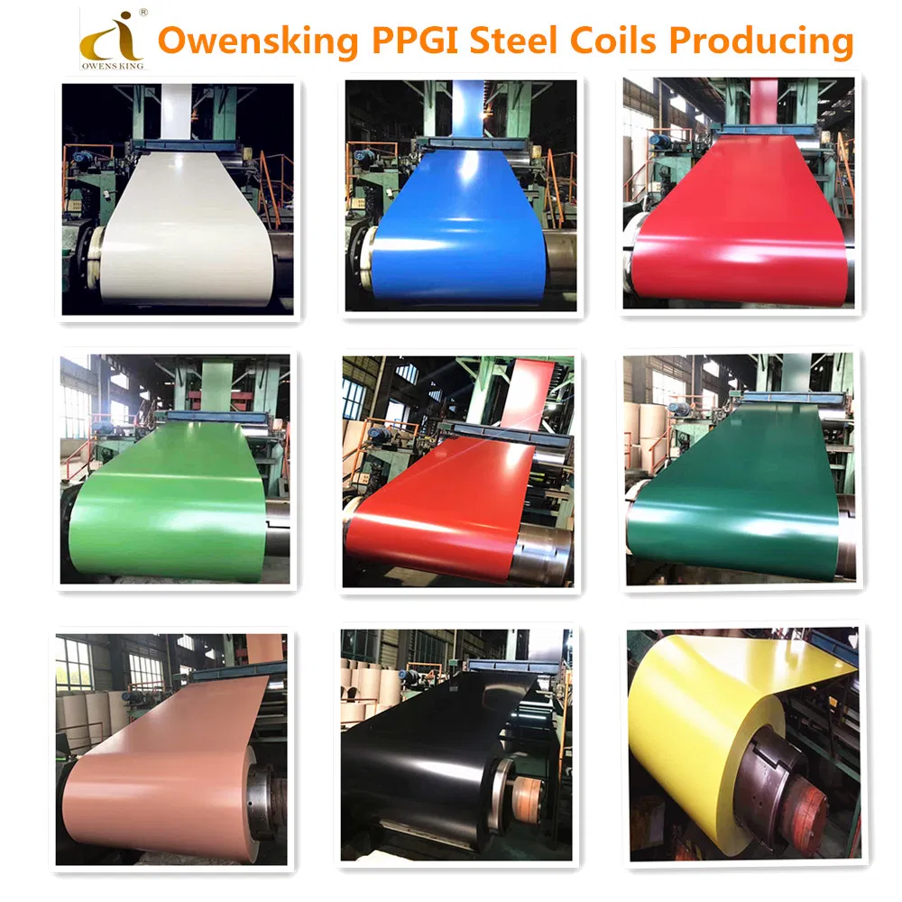 Color Coated Prepainted Steel Coil PPGI PPGL