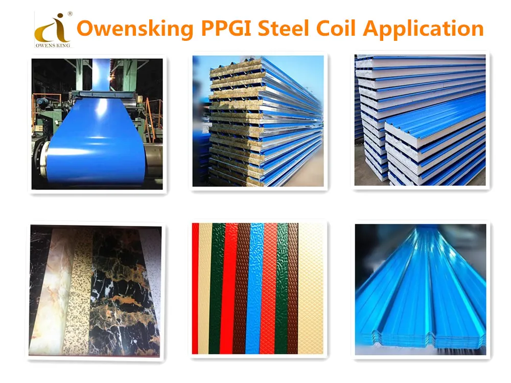 Color Coated Prepainted Steel Coil PPGI PPGL