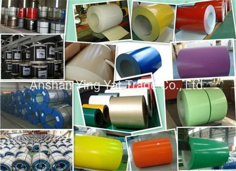 Color Coated Steel Sheet in Coil From Julia
