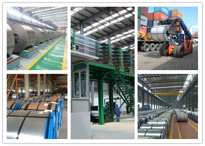 Construction Companies Low Cost Galvanized Steel Coil Dx51