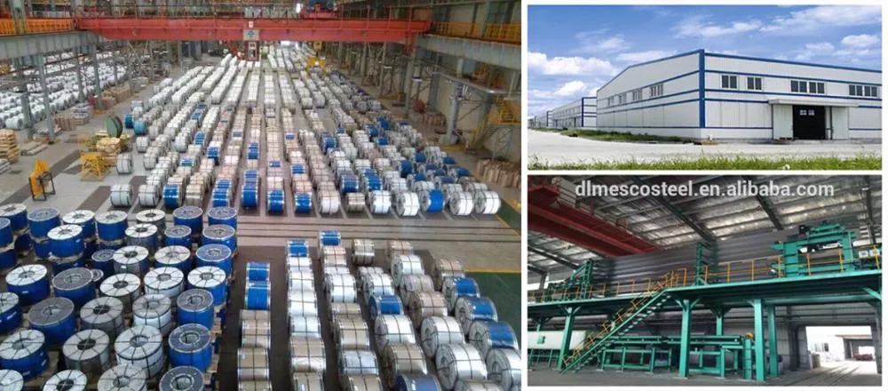 Container House Material Flower PPGI Steel Coil PPGI/PPGI for Roofing Material Building Material