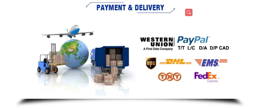 Dx53D Akzonobel White Colorful Painting Coated Steel Coil for Refrigerator PPGI