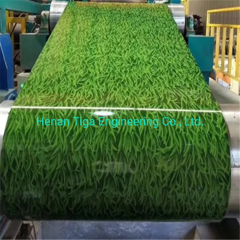 Factory Wholesale Matte Ral Color Coated Prepainted Galvanized Steel Coil