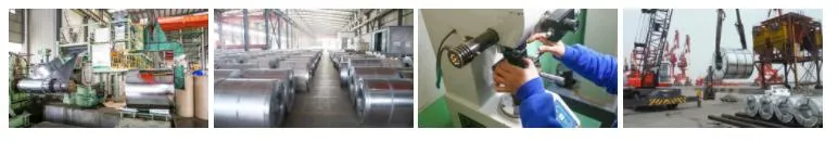 Free Samples, Low Prices for Manufacturers, G350 Galvanized Steel Coil