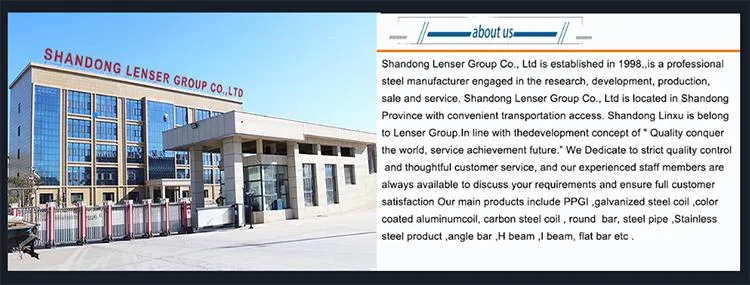 Gi, Gl, Zinc40-275g with Low Price in China