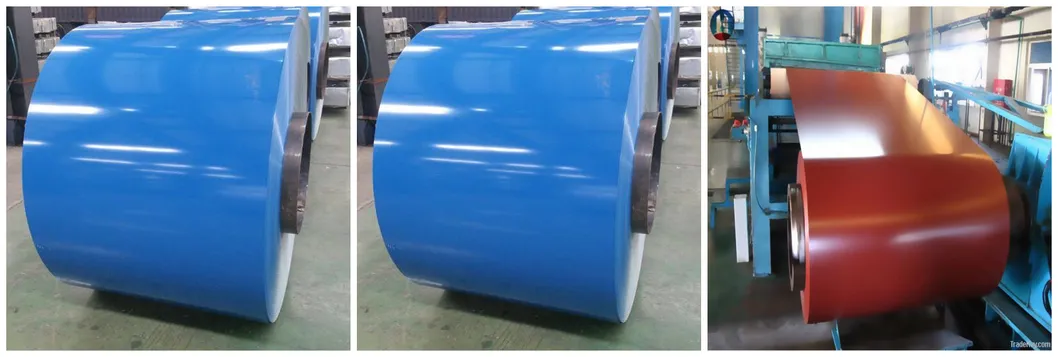 National Certification 0.6mm Thick Prepainted Galvanized Steel Coil