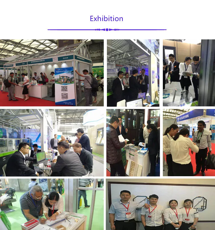 Painted Hot Sale PPGI/PPGL Steel Coil with Best Price