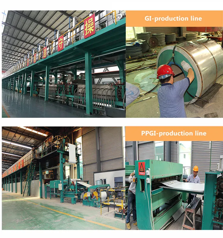 Painted Hot Sale PPGI/PPGL Steel Coil with Best Price