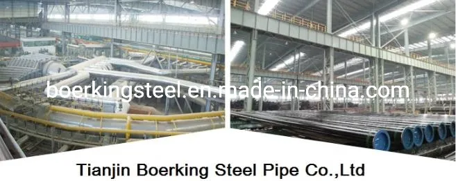 PPGI/HDG/Gi/Secc Dx51 Zinc Coated Cold Rolled/Hot Dipped Galvanized Steel Coil/Sheet/Plate/Reels