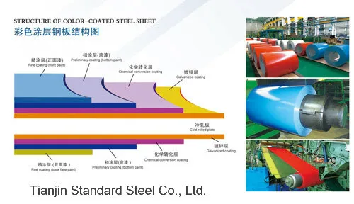 Prepaited Steel Coil Ral 9001 9002 9003 5050