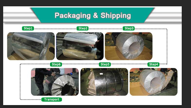 Prime Quality Prepainted Galvanized Steel Coil with Akzo Nobel Nippon