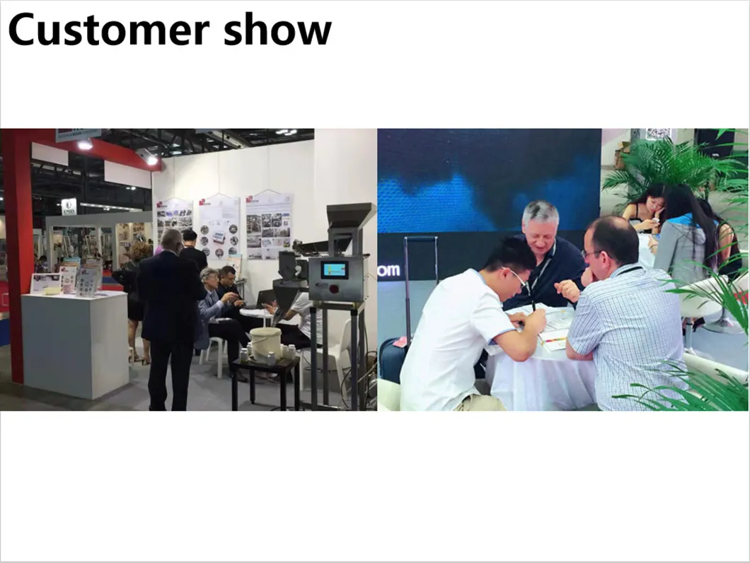 Ral 1015 Matte Finish Color Coated Steel Coil From China Manufacture