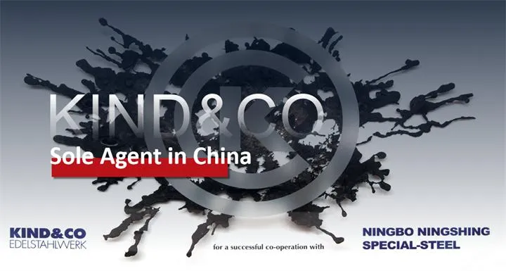 Round Bar/ Block/ S45c/Flat Bar/ Great Quality Durable 1045/C45/ Hot Rolled Steel Plate