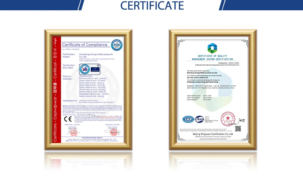 Seamless TP304 Tp316 904 2205 2507 Stainless Steel Pipes