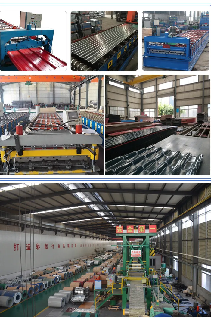 SGCC Dx51d+ Zinc Coated Steel Coil High Quality Hot Dipped Galvanized Iron Steel and Sheet in Coil
