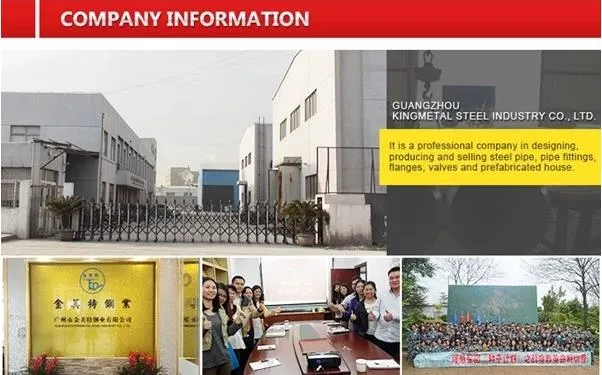 SKD11 D2 Special Steel Flat Bar Tool Steel Plate