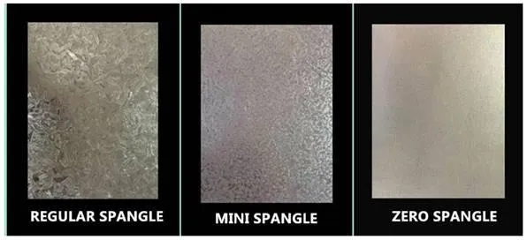 Top Quality Prime Hot Rolled Steel Sheet in Coil Prime Galvanized Steel Coil