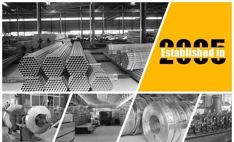 Top Quality Prime Hot Rolled Steel Sheet in Coil Prime Galvanized Steel Coil