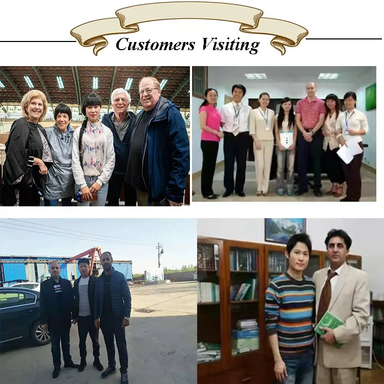 Wholesale 304 306L Austenite Seamless Stainless Steel Pipe