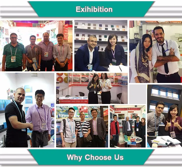 Z60g-275g Prepainted PPGI PPGL Color Coated Galvanized Steel Coil